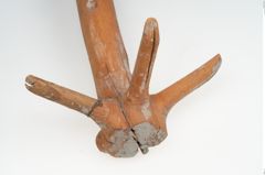 Foto von Holzquirl (NHMW-PRAE-003503)